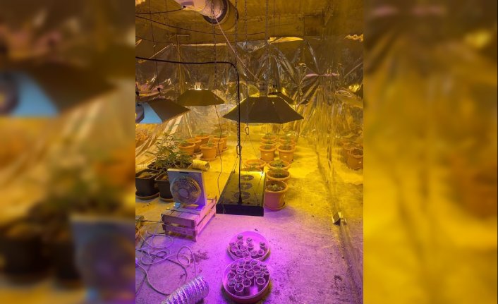 Evine uyuşturucu yetiştirmek için düzenek kuran şüpheli tutuklandı