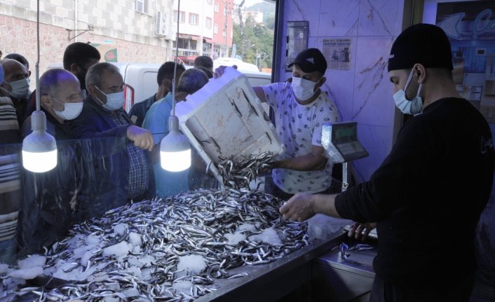 Hopa'da kilogramı 5 liradan satılan hamsi, balıkçı tezgahında kuyruk oluşturdu