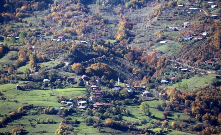 Ilgaz ve Küre dağları sonbahar renklerine büründü