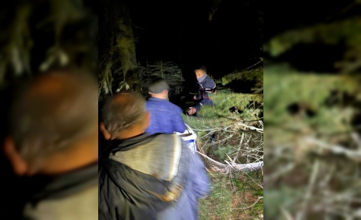 Karabük'te ormanlık alanda kaybolan 3 kişi bulundu
