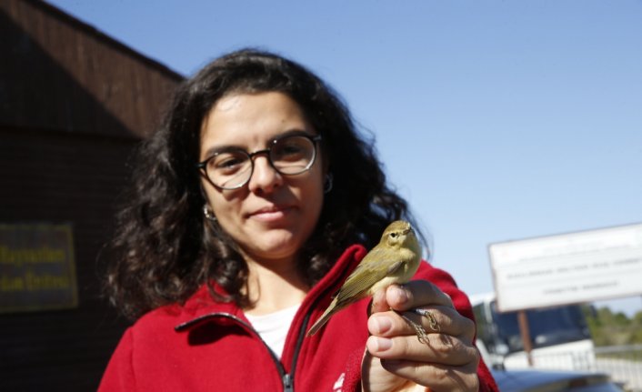 Küresel iklim değişikliği kuşların göç ve konaklama zamanlarını da değiştirdi