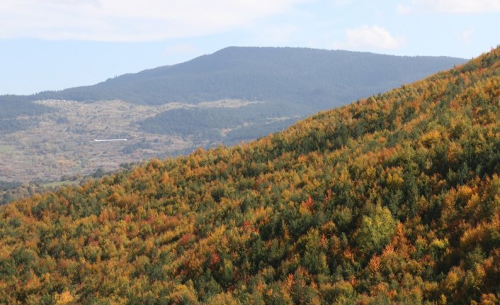 Mudurnu Dağları sonbahar renklerine büründü