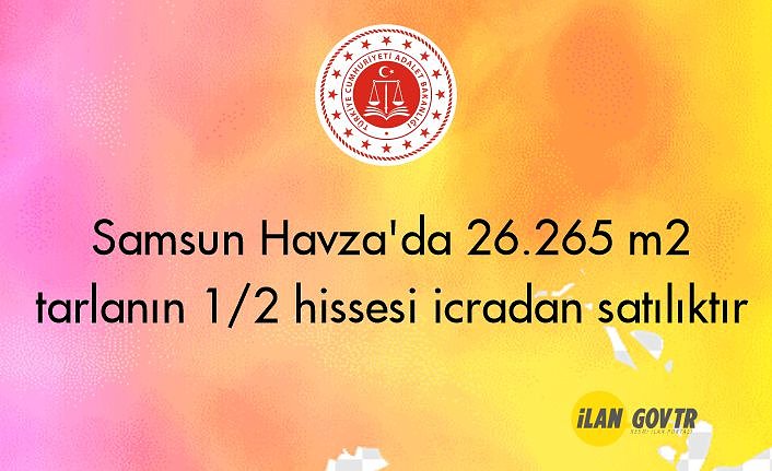 Samsun Havza'da 26.265 m² tarlanın 1/2 hissesi icradan satılıktır