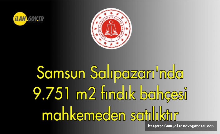 Samsun Salıpazarı'nda 9.751 m² fındık bahçesi mahkemeden satılıktır