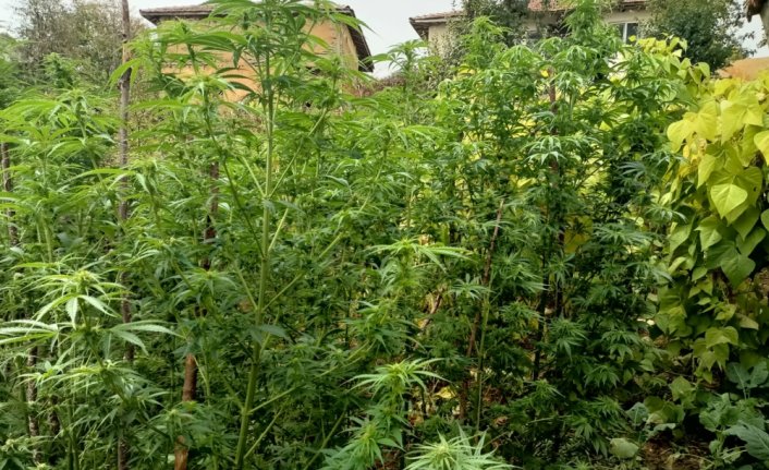 Tokat'ta uyuşturucu operasyonunda 1 kişi yakalandı