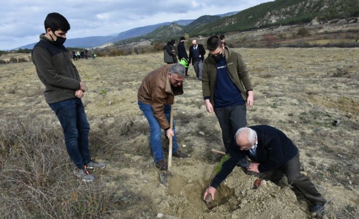 Boyabat'ta 11 Kasım Milli Ağaçlandırma Günü etkinliği
