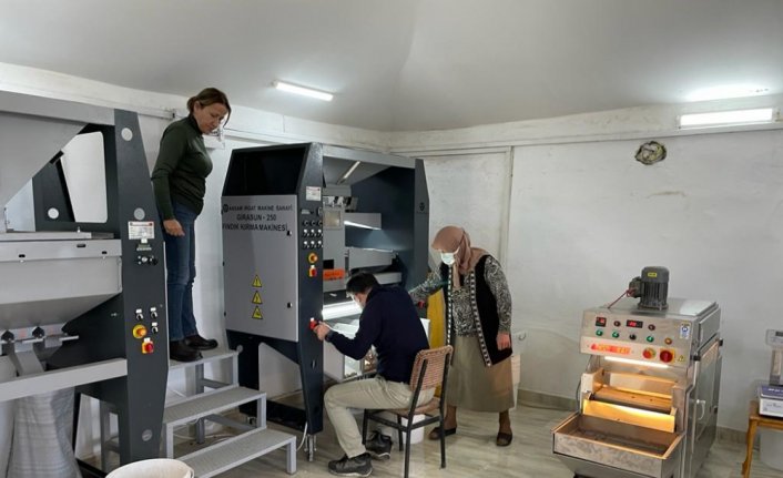 Giresunlu 69 yaşındaki Azime Dizdar, köyünde fındık işleme tesisi kurdu