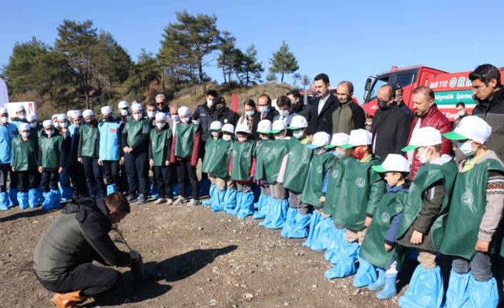 Göynük'te fidanlar toprakla buluştu