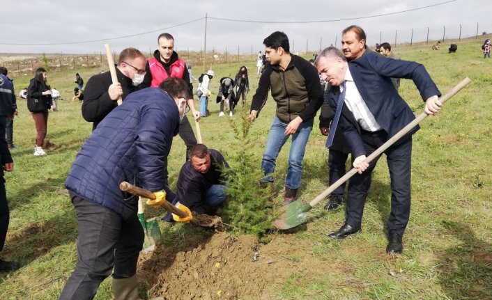Havza'da Milli Ağaçlandırma Günü dolayısıyla fidan dikimi yapıldı