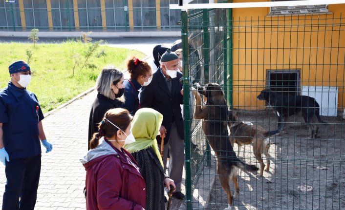 Huzurevi sakinleri hayvan barınağında 