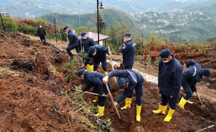 Karadeniz'deki 5 ilde Milli Ağaçlandırma Günü'nde fidanlar toprakla buluşturuldu