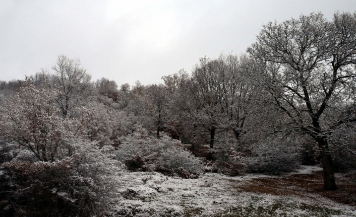 Kastamonu yaylaları ve Tokat'ın yüksek kesimlerinde kar etkili oldu