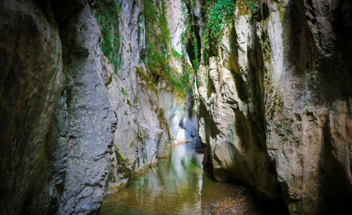 Öğretim görevlisi Saltuklu Kanyonu'nun tanıtımı için soğuk havada yüzdü