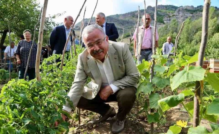 Ordu'da tarım alanındaki çalışmalar 72 milyon lira kazandırdı