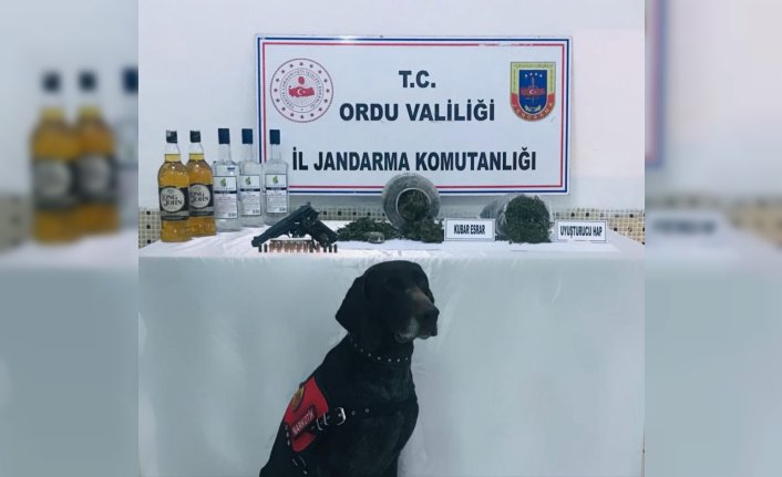Ordu'da uyuşturucu operasyonunda 2 şüpheli yakalandı