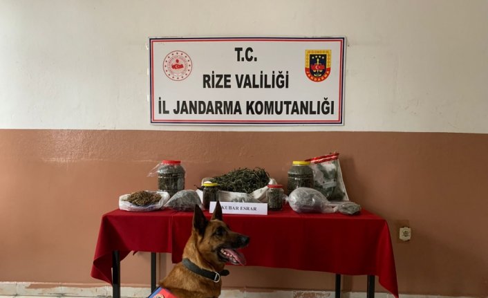 Rize'de 2 kilo 640 gram esrar ele geçirildi