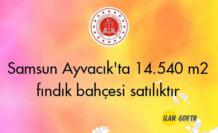 Samsun Ayvacık'ta 14.540 m² fındık bahçesi satılıktır