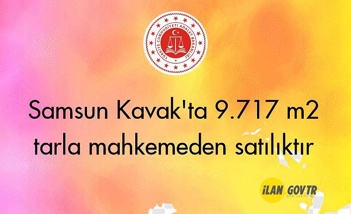 Samsun Kavak'ta 9.717 m² tarla mahkemeden satılıktır