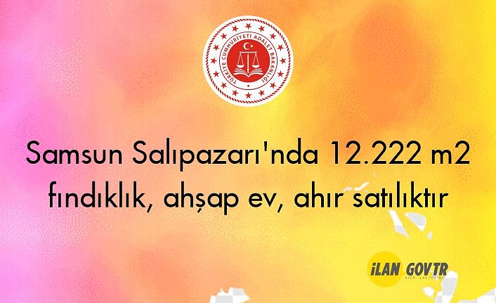 Samsun Salıpazarı'nda 12.222 m2 fındıklık, ahşap ev, ahır icradan satılıktır
