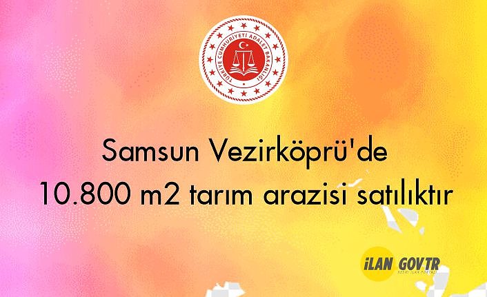 Samsun Vezirköprü'de 10.800 m² tarım arazisi icradan satılıktır