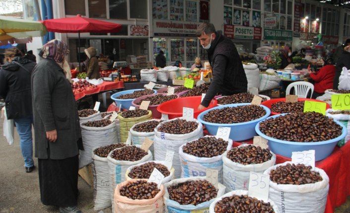 Sinop'ta bol yağış kestane rekoltesini 500 tona çıkardı