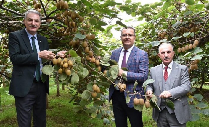 TMO Genel Müdürü Ahmet Güldal'dan 