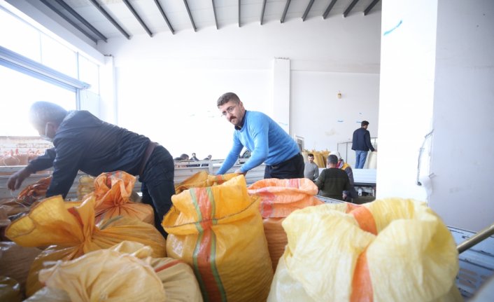 TMO Genel Müdürü Güldal, fındık alım kampanyasını değerlendirdi: