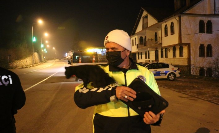 Trafik polisi araç altında kalmaktan kurtardığı kediyle uygulamaya devam etti