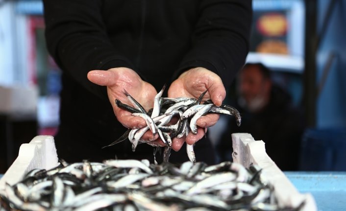 Türkiye hamsi ihracatından 2,5 ayda 3,3 milyon dolar kazandı