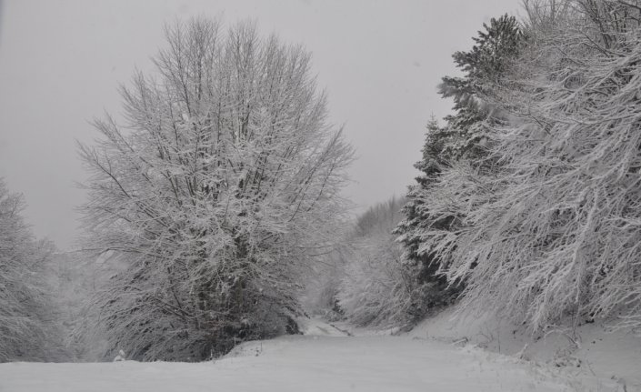 Abant Tabiat Parkı'nda ziyaretçiler karın keyfini çıkardı