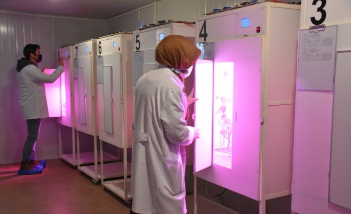 Amerika'da gördüğü dikey tarım sistemini Trabzon'da hayata geçirdi