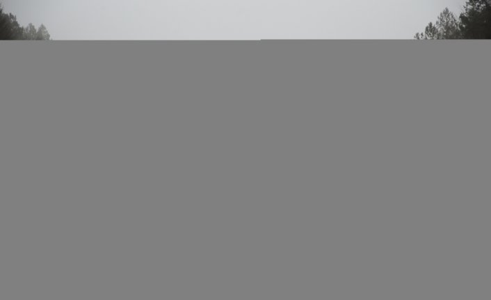 Bolu Dağı'nda sis ve sağanak trafiği yavaşlattı