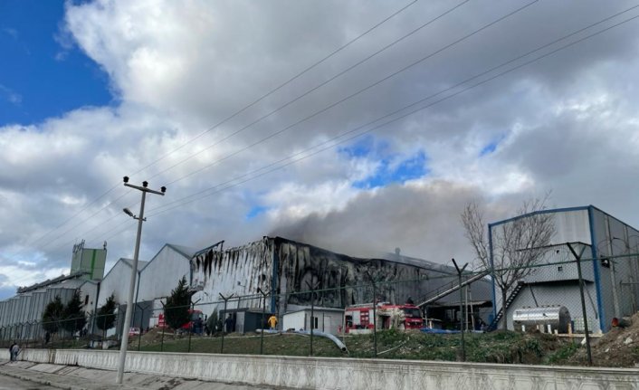 Çorum'da bir fabrikada çıkan yangın hasara neden oldu