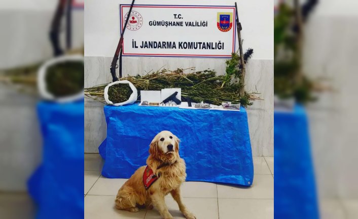 Gümüşhane'de uyuşturucu operasyonunda bir kişi yakalandı