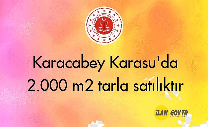 Karacabey Karasu'da 2.000 m² tarla mahkemeden satılıktır