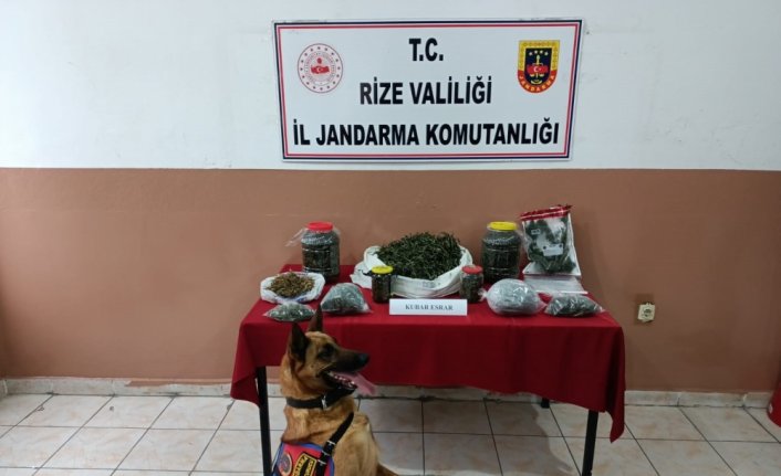 Rize'de jandarma ekiplerince son bir ayda 10,5 kilo esrar ele geçirildi