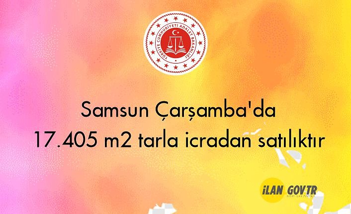 Samsun Çarşamba'da 17.405 m² tarla icradan satılıktır