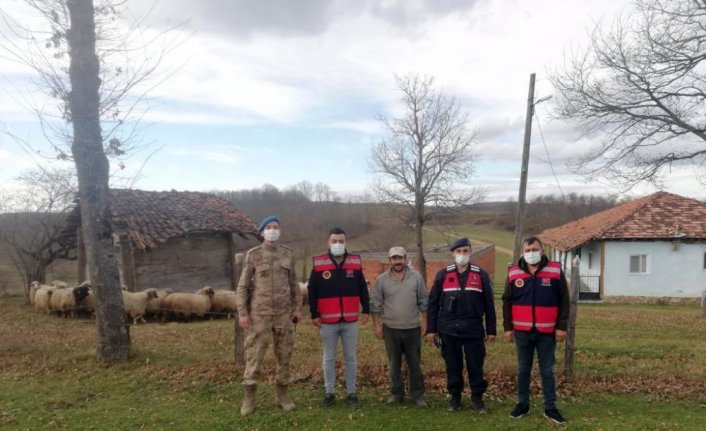 Samsun'da jandarma kayıp 130 küçükbaş hayvanı drone yardımıyla buldu