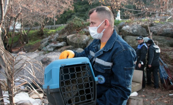 Zonguldak'ta kıyılarda görüntü kirliliği oluşturan yapılar yıkılıyor