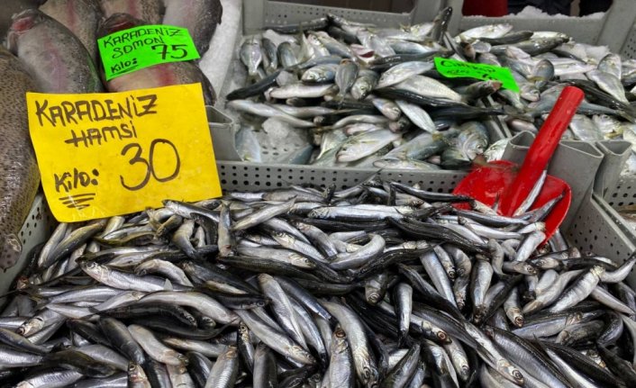 Batı Karadeniz'de karla lezzetlenen hamsi tezgahların gözdesi oldu