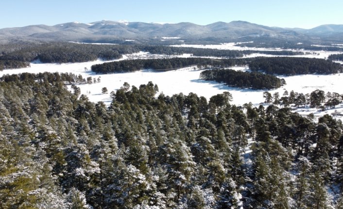 Bolu'nun karla kaplanan ormanları havadan görüntülendi