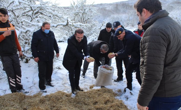 Eflani Kaymakamı Ahmet Tan, yaban hayvanları için doğaya yem bıraktı