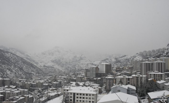 Gümüşhane'de kar etkili oldu