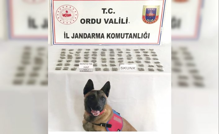 Ordu'da uyuşturucu operasyonunda 3 kişi yakalandı