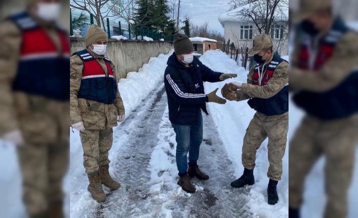 Ordu'da yaralı halde bulunan şahin tedavi altına alındı