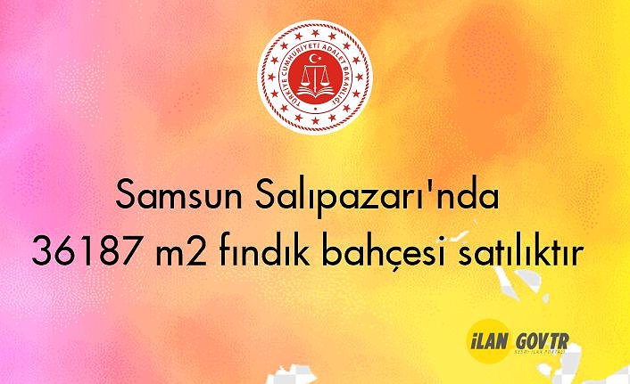Samsun Salıpazarı'nda 36187 m² fındık bahçesi icradan satılıktır