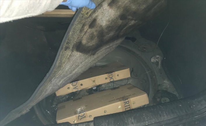 Sarp Sınır Kapısı'nda 5 bin su kaplumbağası ele geçirildi