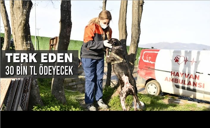 Terk Eden 30 Bin Tl Ödeyecek