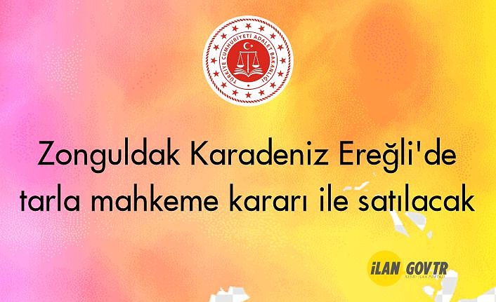 Zonguldak Karadeniz Ereğli'de tarla mahkeme kararı ile satılacak