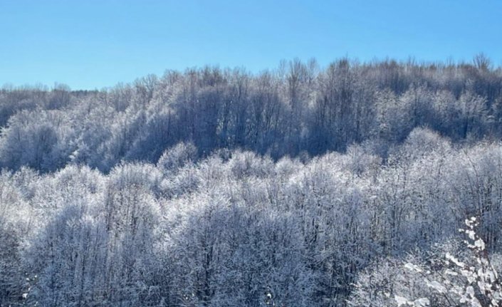 Zonguldak Kent Ormanı kar yağışıyla beyaza büründü